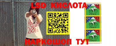 спиды Сланцы