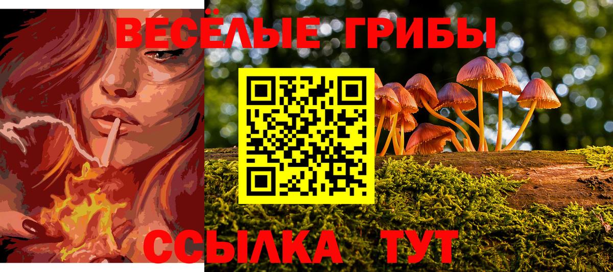 Великий Новгород  Псилоцибиновые грибы мицелий  Вход с VPN 
